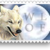 :iconwolftamer13: