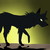 :iconwolftayla: