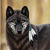 :iconwolfteen96: