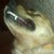 :iconwolfthief:
