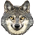 :iconwolfud: