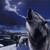 :iconwolfwarrior172: