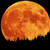 :iconwolfwiccan: