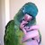 :iconwolfwithnoname: