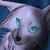 :iconwolfwrathspirit14:
