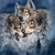 :iconwolfy123lt: