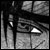 :iconwolfy1241: