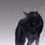 :iconwolfyangel123: