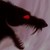 :iconwolfyness287: