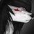 :iconwolfynighteyes: