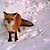 :iconwolfzant: