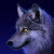 :iconwolfzheart: