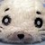 :iconwollmia: