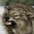 :iconwolphard: