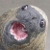 :iconwolve-sama: