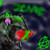 :iconwolvediary: