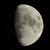 :iconwolven12: