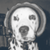 :iconwolvenwishes: