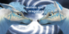 :iconwolves-dragon: