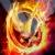 :iconwolves500: