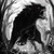 :iconwolveschwarz: