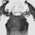 :iconwolvescrossing: