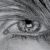 :iconwolveseyeswatching: