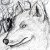 :iconwolvesintherain: