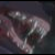 :iconwolveslovers-club:
