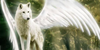:iconwolvesofheavan: