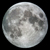 :iconwolvesofrakuen: