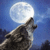 :iconwolvespirit: