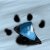 :iconwolvpaw: