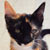 womit-green :iconwomit-green:
