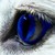 :iconwonderfulnature: