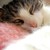 :iconwonderland143: