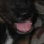 :iconwooddy: