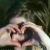 :iconwooden-stars: