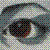 :iconwoodenbird: