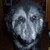 :iconwoodewytch: