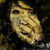 :iconwoodlandmutt: