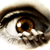 :iconwoods131: