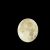 :iconwoodstock029: