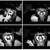 :iconwooksyllah: