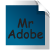 :iconword4adobe: