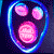 :iconwordofsorrow: