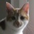 :iconwords-that-stay: