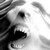 :iconwordsset-inmotion: