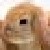 :iconworewolf: