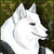 :iconworgenmaster759: